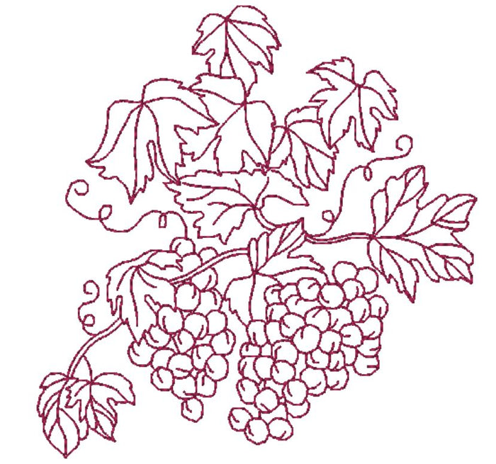 About Wine and Vineyards  ATWS-10306