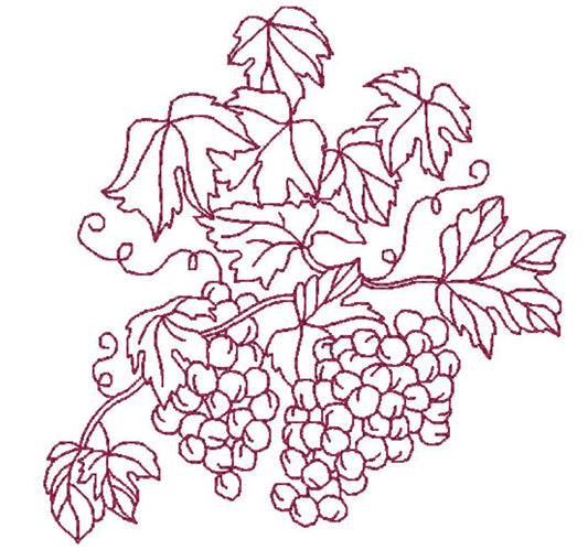About Wine and Vineyards  ATWS-10306