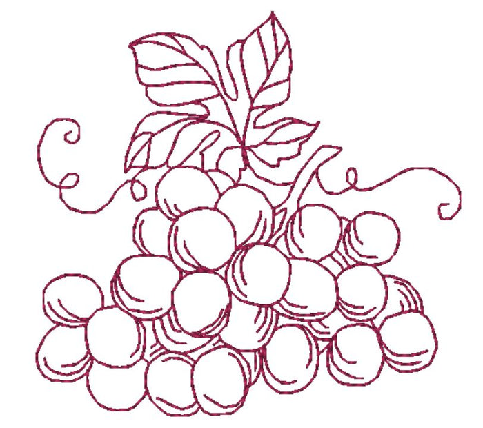 About Wine and Vineyards  ATWS-10306