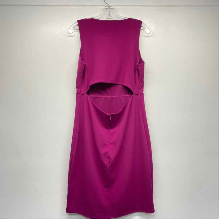 Express Size L Women's Solid Fuschia Empire Waist Sleeveless Sheath Dress