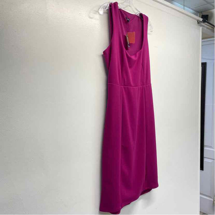 Express Size L Women's Solid Fuschia Empire Waist Sleeveless Sheath Dress