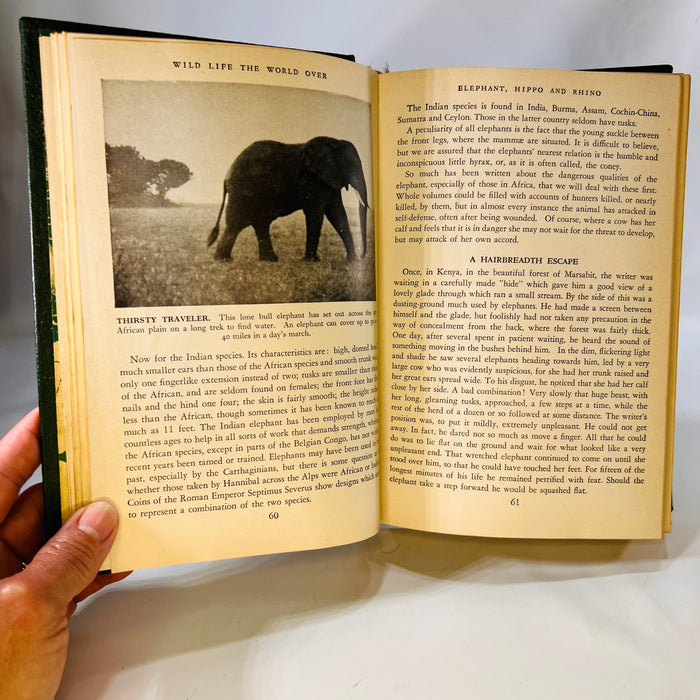 Wildlife the World Over by 9 Distinguished World-Traveled Specialist 1947 Wise & Co.