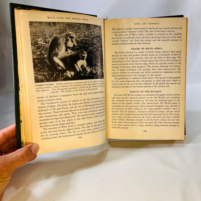 Wildlife the World Over by 9 Distinguished World-Traveled Specialist 1947 Wise & Co.