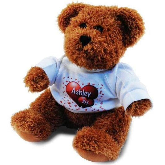 Sample for Plush Teddy Bear with Your Own Design