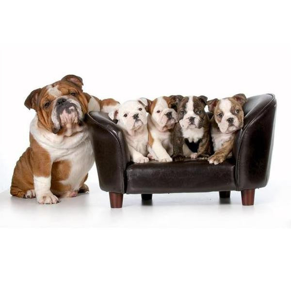 Dog Family 3D Photo Crystal Cube Original Picture