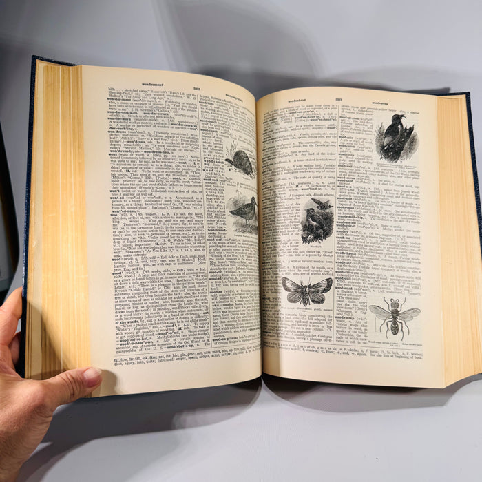 The New Century Dictionary: Volume Three (1934) | Stone-Blind to Zymurgy & Supplements | Illustrated Language Reference